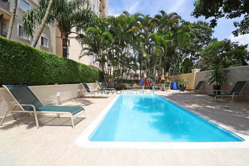 Imagem 2 de 25 de Apartamento À Venda Em Jardim Das Paineiras - Ap004549
