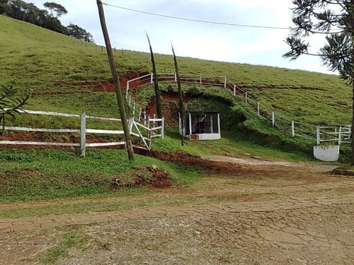 Imagem 8 de 20 de Belíssima Propriedade Em Santo Antonio Do Pinhal - St-468