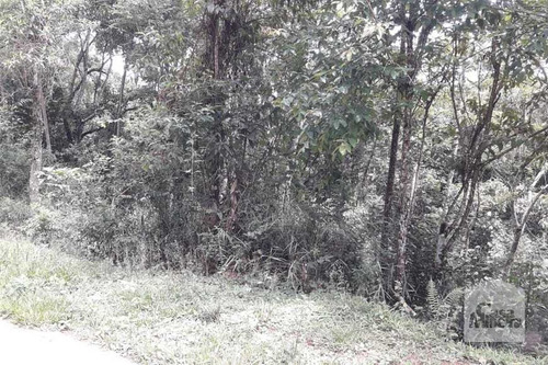 Imagem 3 de 5 de Lote À Venda No Arvoredo - Código 274038 - 274038