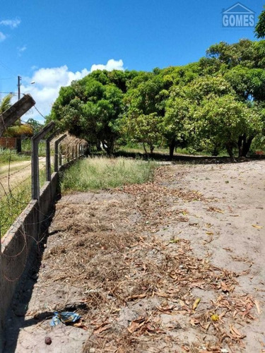 Imagem 7 de 19 de Vende Um Terreno Com Uma Construção Em Andamento Proximo A Praia - 24761