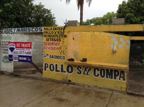 Terreno Venta Ricardo Flores Magón