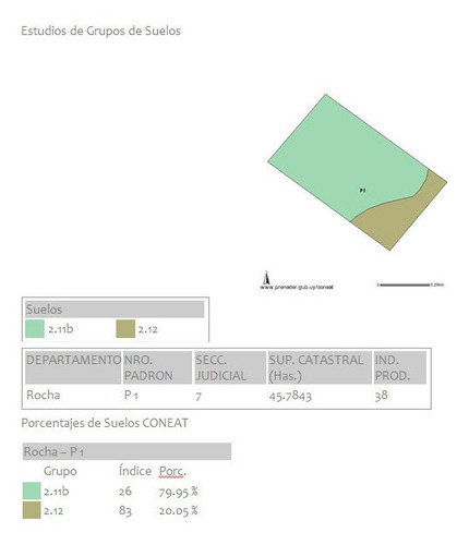 Campo En Venta En Rocha