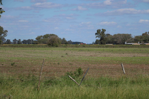 Imagen 13 de 25 de Venta Campo 83,3 Hectareas Agrícolas En Lima
