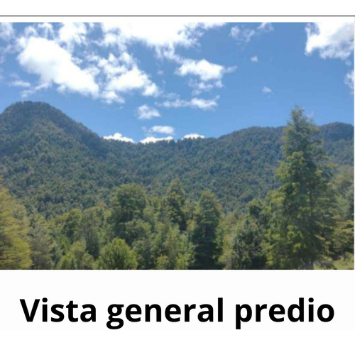 Agrícola Forestal En Venta En Cunco Ideal Proyecto Turistico
