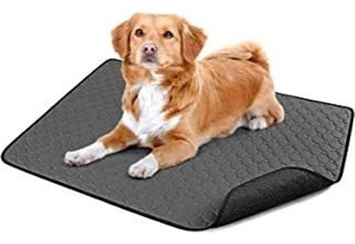 Aag Almohadillas Reutilizables Para Orina De Perro, 2 Uni