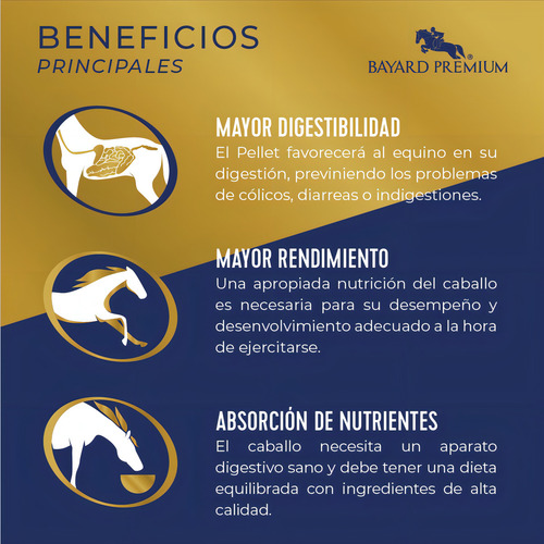 Alimento Balanceado Para Equinos Bayard 40 Kg