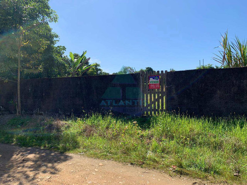 Terreno, Praia Da Lagoinha, Ubatuba - R$ 215 Mil, Cod: 1201 - V1201