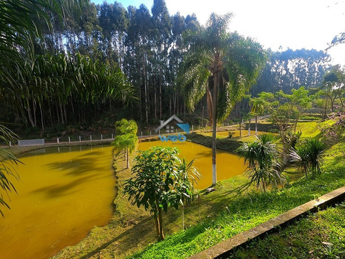 Imagem 28 de 30 de Chácara A Venda Em Quitandinha, Com 07 Tanques De Peixe E 16.000m² De Terreno. - Ch00018 - 70424833