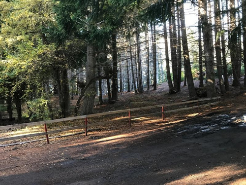 Imagen 7 de 11 de Terreno - Villa La Angostura