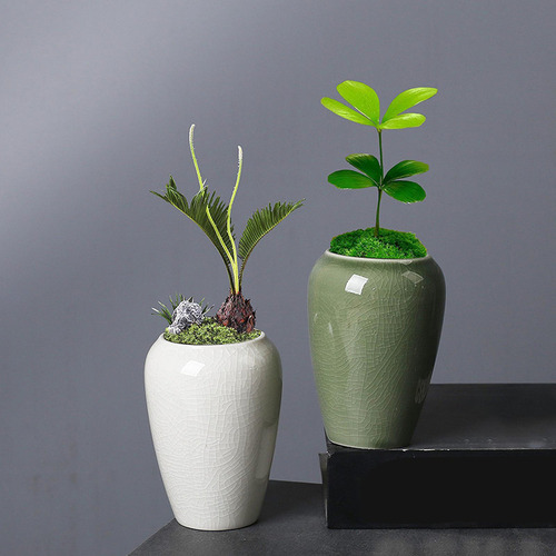 Maceta De Cerámica Pequeña Para Plantas, Estilo Blanco