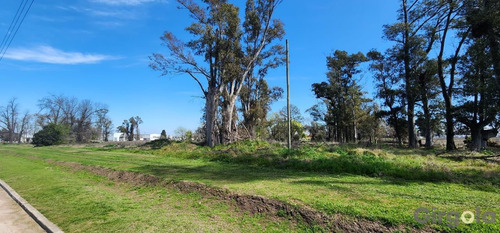 Terreno / Lote En Venta En El Polo Industrial De General Rodríguez