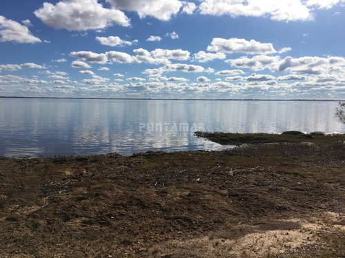 Venta De Excepcional Campo Sobre Río Uruguay- Ref: 211476