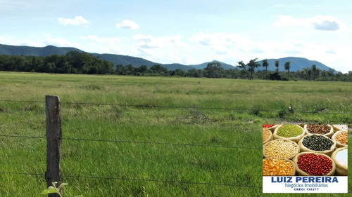 Fazenda À Venda Em Porto Murtinho - Ms - De 1.917 Hectares (pecuária) - 1635