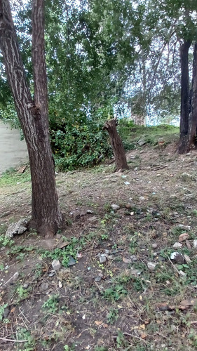 Lote Venta Argello