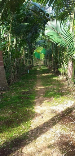 Chácara A Venda No Bairro Centro Em Garuva - Sc. - 352-1
