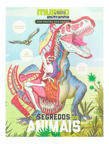 Livro Infantil 365 Atividades De Dinossauros - Colorir, Jogo Dos 7 Erros E  Passatempos Editora Brasileitura