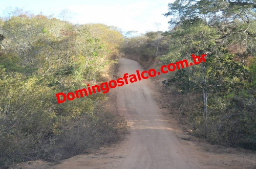 Imagem 6 de 12 de Venda - Fazenda - Zona Rural - Bom Jesus - Pi - D0175