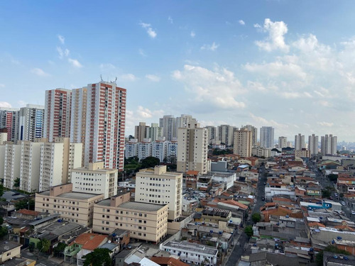 Imagem 3 de 14 de Residencial Botanica