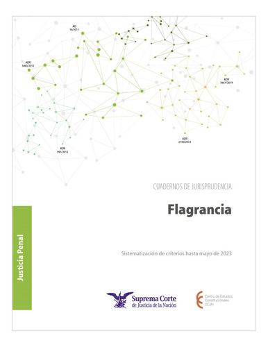 Flagrancia- Cuadernos De Jurisprudencia