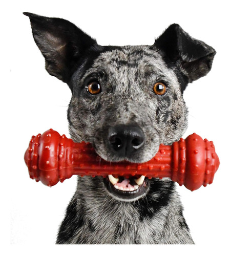 Juguete Masticable Para Perros Pet Qwerks