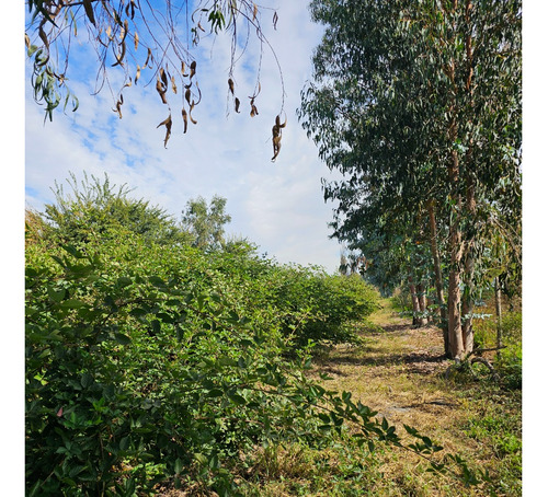 Venta De Propiedad Con Gran Terreno Y Casa Espaciosa