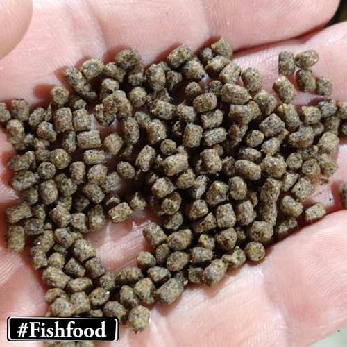 Imagem 5 de 6 de Ração Tr36% - 3 A 4mm Peixe Tilápia Nutripiscis Presence 1kg