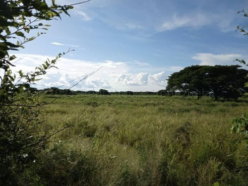 Imagen 11 de 14 de Finca En Venta 22-3806 Maria Santaella 0414-3188350 0412-3625141