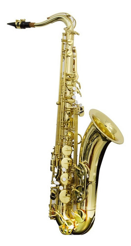 Saxofone Tenor Ts 200 Laqueado Dourado Com Case New York