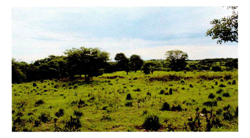 Venda De Fazenda Com Estrutura Completa Potencial Produtivo