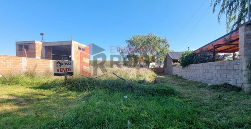 Imagen 4 de 5 de Lote En Excelente Ubicación