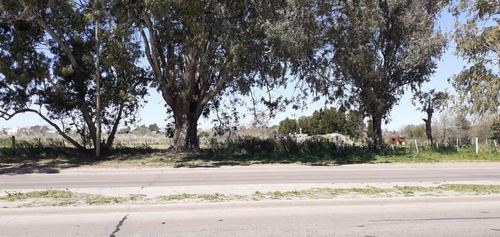 Imagen 30 de 30 de Terreno En Venta En La Plata Calle 44 Esq 177 - Dacal Bienes Raices