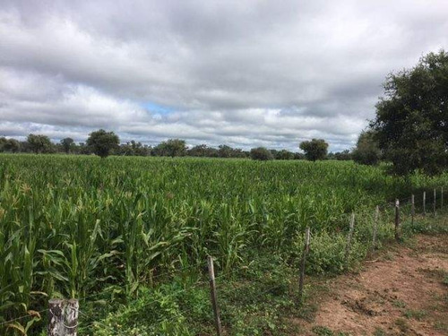 Imagen 18 de 18 de Venta Campo En Santiago Del Estero, Norte De Monte Quemado