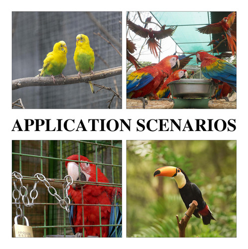 1 Juego De Juguetes Para Masticar Loros, Jaula De Pájaros, P