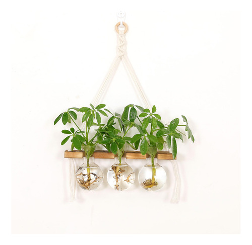 2 Jardineras Para Colgar En La Pared, Florero De Cristal