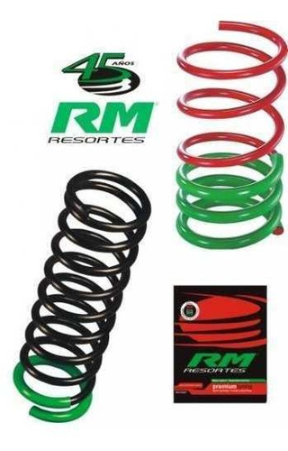 Espiral Reforzado Rm - Grand Siena Trasero