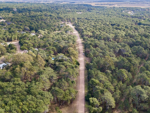 Imagen 12 de 16 de Terreno En Venta En Pinamar
