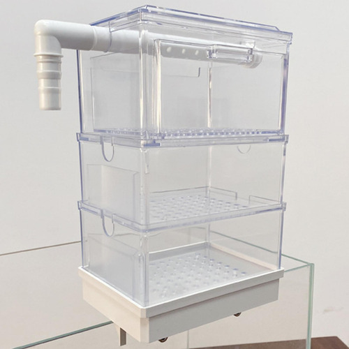 Acuario Que Cuelga En La Caja Del Cajón Del Tubo Tres Capas
