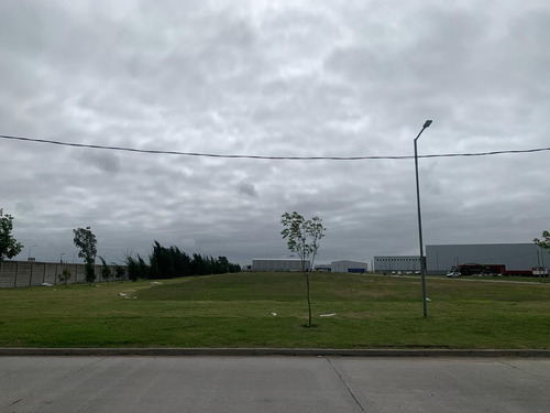 Buen Ayre Km 3,5 - 1290 M2 Terreno