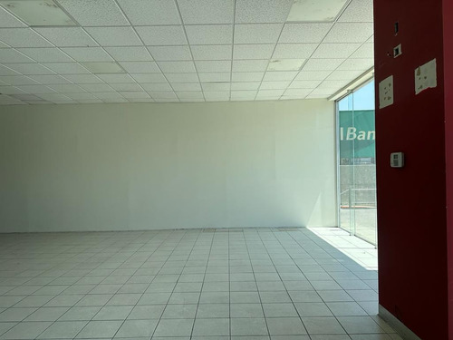 En Renta Local Comercial En Av Palmas 239, Lomas De Chapultepec, Cdmx - Pg
