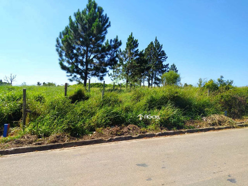 Imagem 17 de 20 de Terreno, Chácara Flórida, Embu-guaçu - R$ 100 Mil, Cod: 2442 - V2442