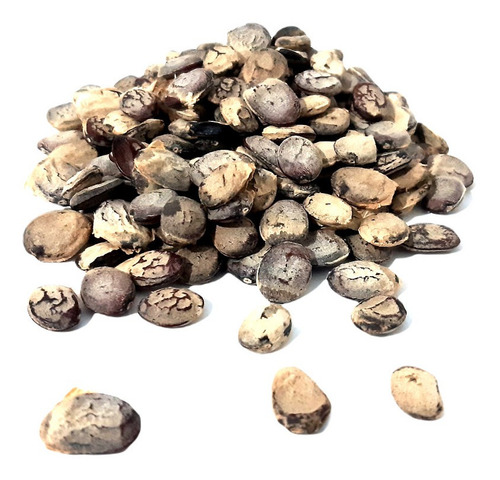 Sementes Emburana 500g Semente De Umburana, Imburana Natural