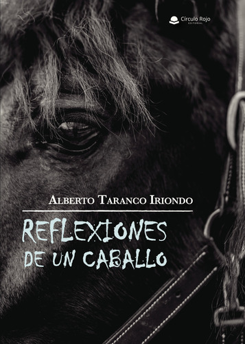 Reflexiones De Un Caballo