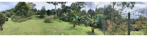 Rhbr-11576 Finca (guarne)