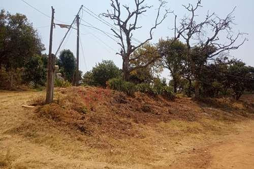 Venta De Terreno 240 M2 Con Clima Calido Tenancingo