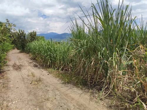 Lote En Villeta Cundinamarca
