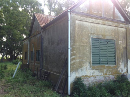 Campo - Pardo