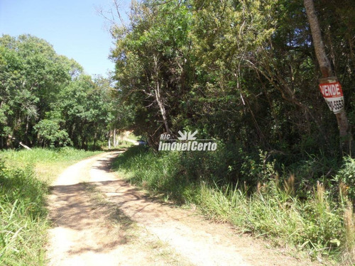 Imagem 8 de 14 de Chácara À Venda, 4000 M² Por R$ 75.000,00 - Rodeio Da Chapada - Balsa Nova/pr - Ch0011