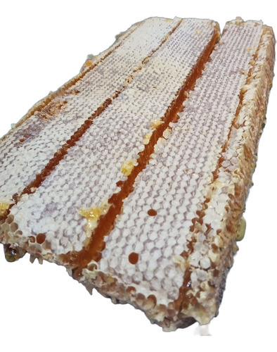 Miel En Panal De Entre Rios X 3 Kilos