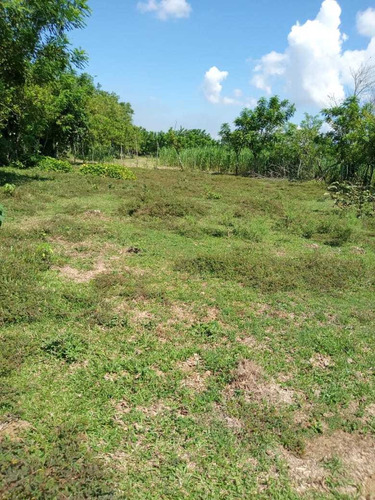 Te Vendo Excelente Finquita En Sierra De Agua Bayaguana