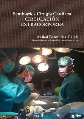 Libro Seminarios Cirugia Cardiaca - Anibal Bermudez Garcia